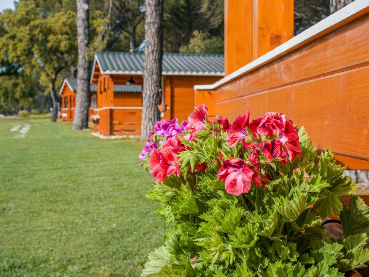 Chalet Do Lago 蒙塔吉尔 外观 照片